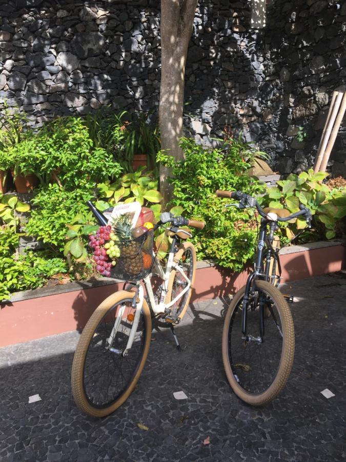 Quinta Pacos Do Lago Campanário Kültér fotó